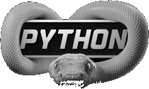 Python